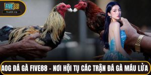 Aog Đá Gà FIVE88 - Nơi Hội Tụ Các Trận Đá Gà Máu Lửa