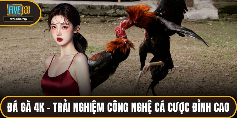 Đá Gà 4K – Trải Nghiệm Công Nghệ Cá Cược Đỉnh Cao Tại FIVE88 Đá Gà 4K – Trải Nghiệm Công Nghệ Cá Cược Đỉnh Cao