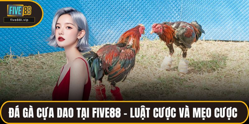 Đá Gà Cựa Dao Tại FIVE88 – Luật Cược Và Mẹo Đặt Cược An Toàn Đá Gà Cựa Dao Tại FIVE88 – Luật Cược Và Mẹo Đặt Cược
